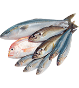 Риба, ракоподібні та продукція водного господарства