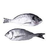 Риба, рибне філе та інше м’ясо риби морожені